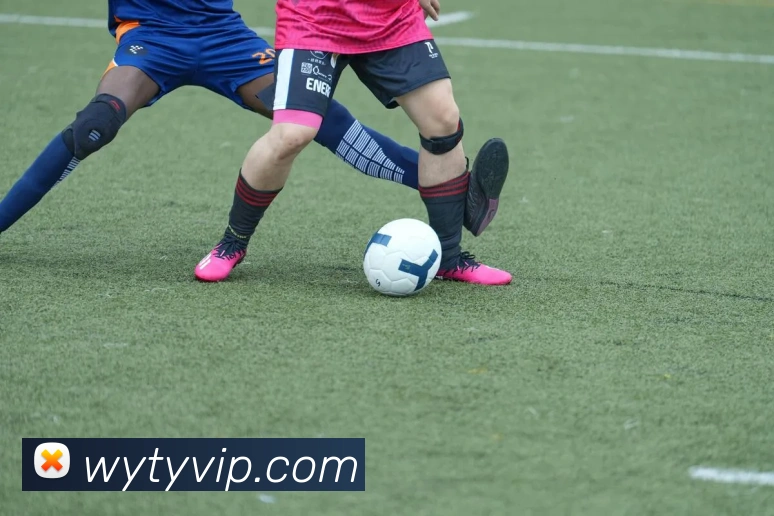 网易体育平台生态图