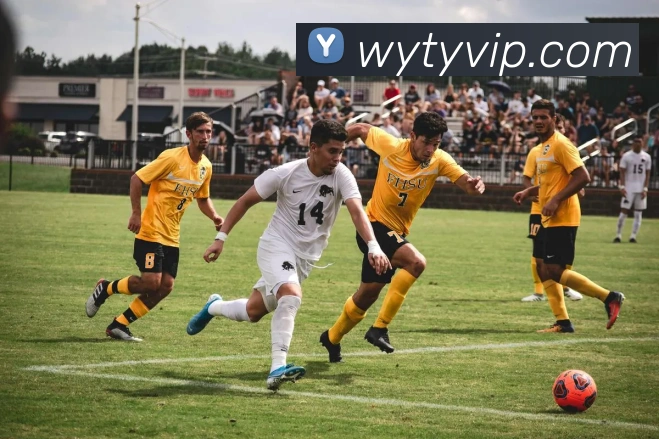 网易体育全站App